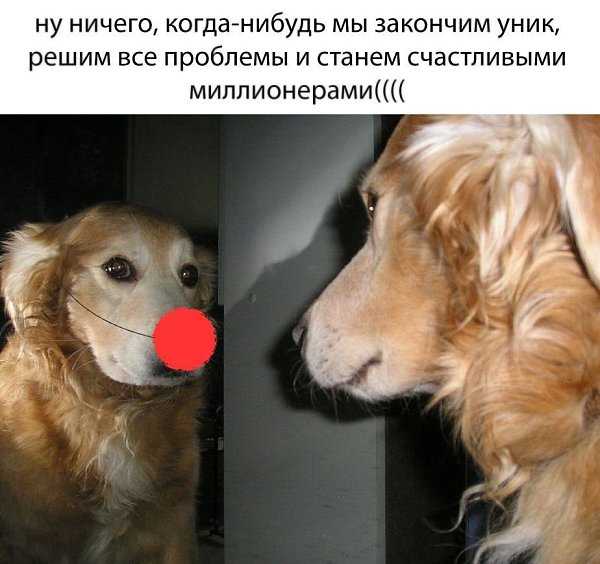    - 8  2023  21:19