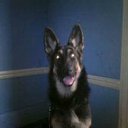  ‰ 1973, -, 52  -  8  2023    