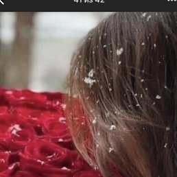 �����, �������