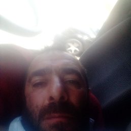 ����� ��������, �����������, 41 ���