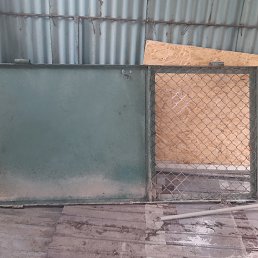 ���� �������, �����������, 36 ��� - ��������� 7 ����� 2023