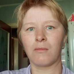 ����, ����������, 41 ���