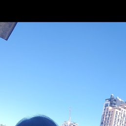 , 51, 