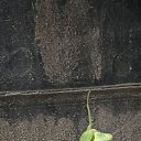 ���� �������, ������-��-����, 38 ��� - ��������� 2 ������� 2023