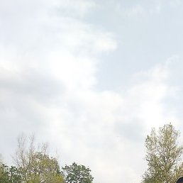 , , 38 