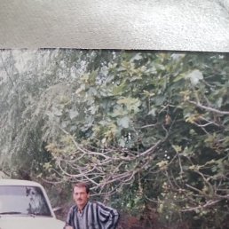 ���������, ����, 50 ���