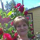 ���� ������, ������������, 71 ��� - ��������� 11 ������� 2023 � ������ ���� ����������