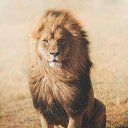 ���� �����, �����-���������, 33 ���� - ��������� 28 ������� 2023 � ������ ���� ����������