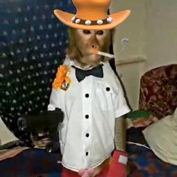 ����, ������, 29 ���