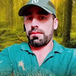 ������, �����������, 41 ���