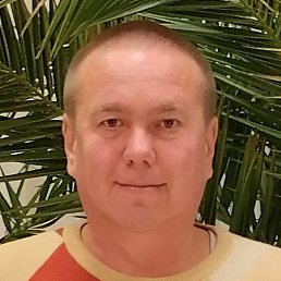 �����, ������, 46 ���