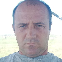 ����, �������, 37 ���