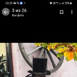 �������, ���������, 46 ���