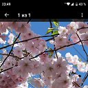 ���� �������, �����-���������, 38 ��� - ��������� 1 ��� 2023