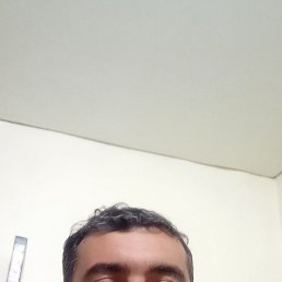 ���� ����� 42, ���������, 44 ���� - ��������� 8 ���� 2023