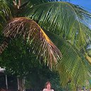 ���� �������, ���������, 63 ���� - ��������� 21 ������� 2023 � ������ ���� ����������