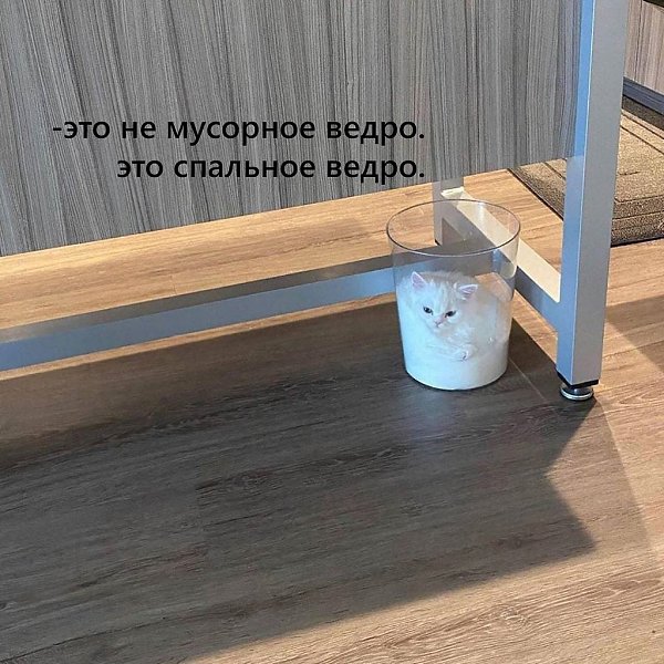    - 29  2023  11:29