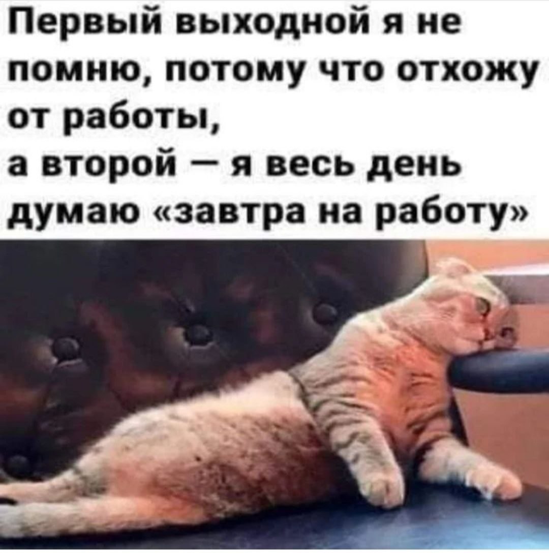 ***Victoria Viktorovna*** - 31  2023  06:32