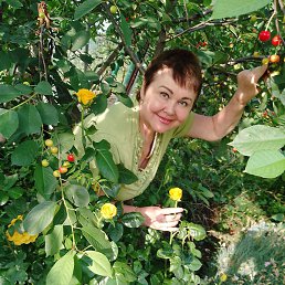 ��������, ���������, 59 ���