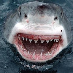 Kjioyh, ������, 32 ����