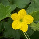 ���� ������, ���������, 22 ���� - ��������� 25 ����� 2023 � ������ ���� ����������