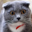 ���� �������!!!, ����, 46 ��� - ��������� 5 ��� 2023 � ������ ���� ����������