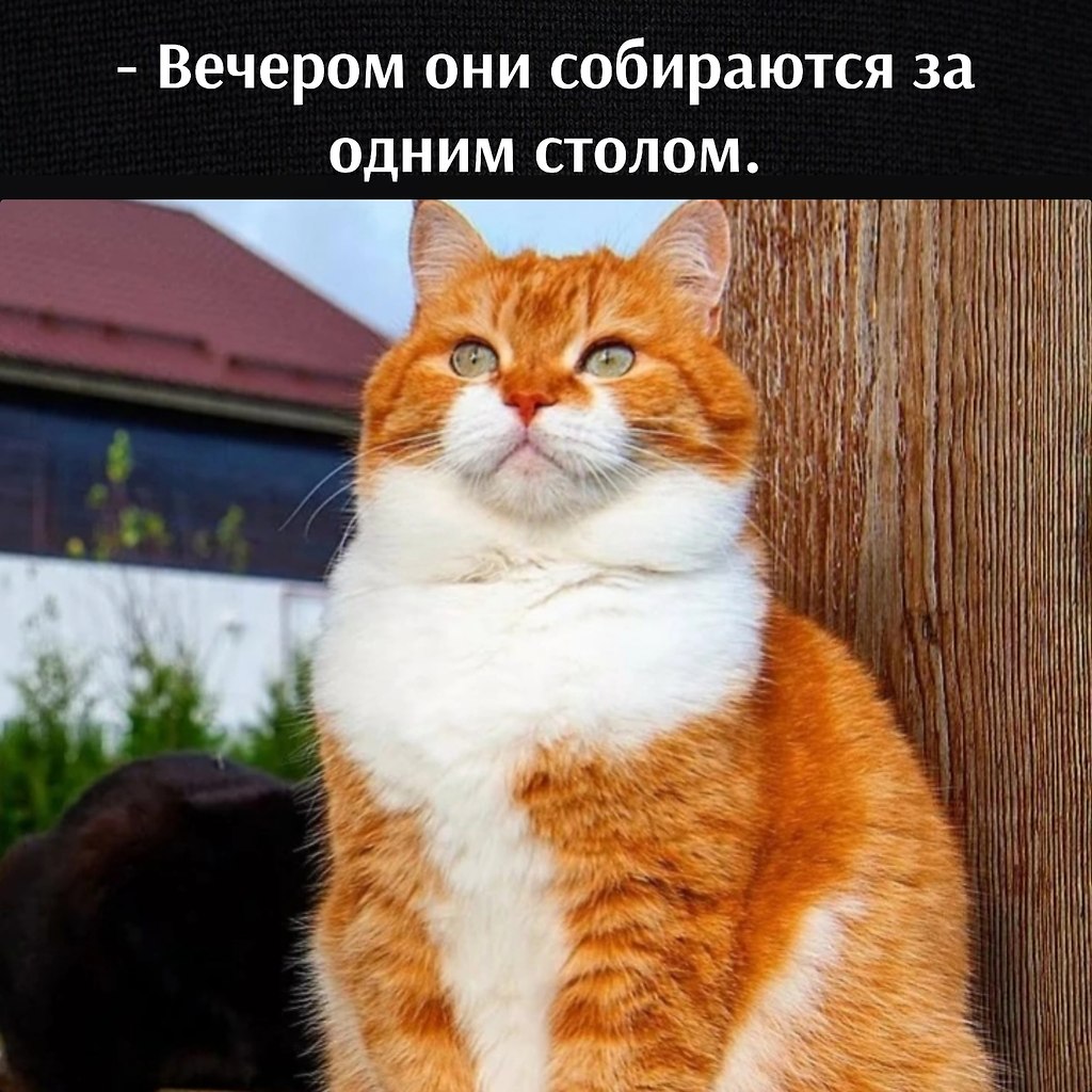       - 22  2023  17:14 - 3