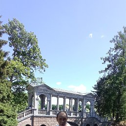 ����, ���������, 41 ���