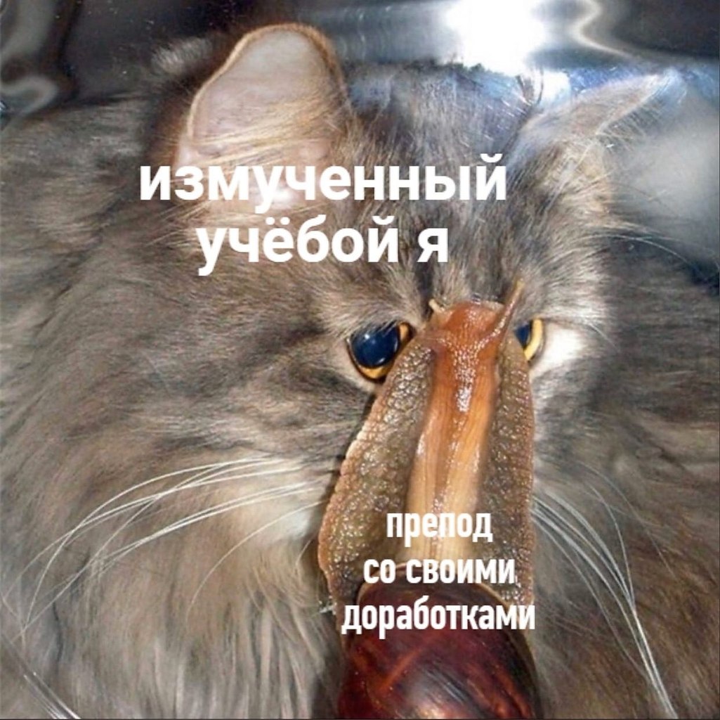    - 21  2023  14:28