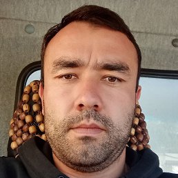 ����, �����-���������, 36 ���