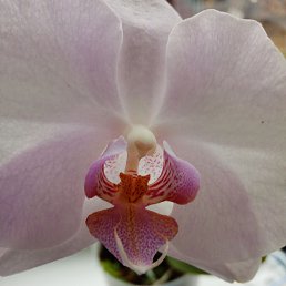 ���� ����, �������, 62 ���� - ��������� 13 ������� 2023