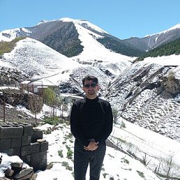 ���� �����, ���������, 48 ��� - ��������� 28 ���� 2023