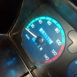 ����, ������, 35 ���