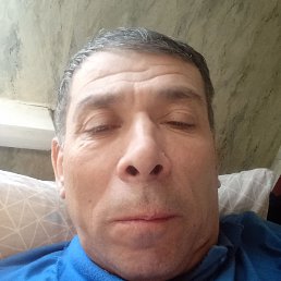 ����, ������, 49 ���