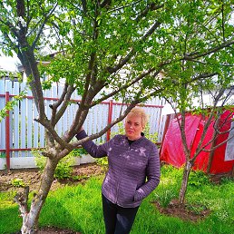 ���� �������, ������, 58 ��� - ��������� 1 ������ 2023