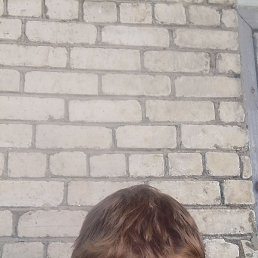 �������, �����-���������, 37 ���