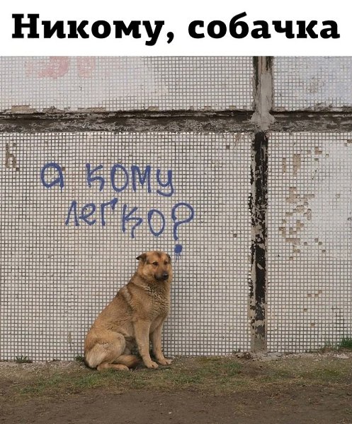   - 30  2023  11:42