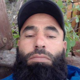 ����, ������, 41 ���