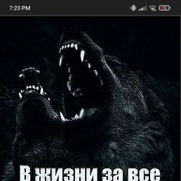 Gena, ������, 44 ����