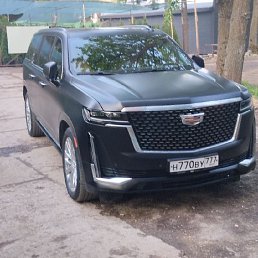 ������, ������, 50 ���