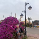 ���� ���, �����������, 71 ��� - ��������� 9 ������ 2023 � ������ ���� ����������