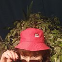 ���� ����, ������, 55 ��� - ��������� 29 ��� 2023 � ������ ���� ����������