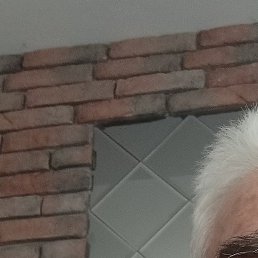 ������, ������, 68 ���