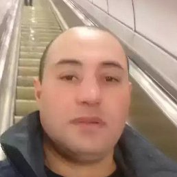 ����, �����-���������, 43 ����