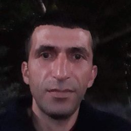 Serob, ������, 41 ���