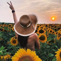 ���� ���������, ������, 44 ���� - ��������� 27 ���� 2023