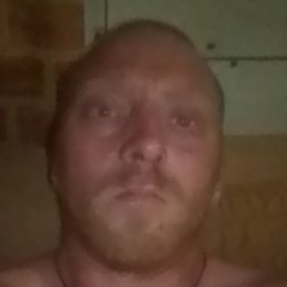 �������, ������, 38 ���