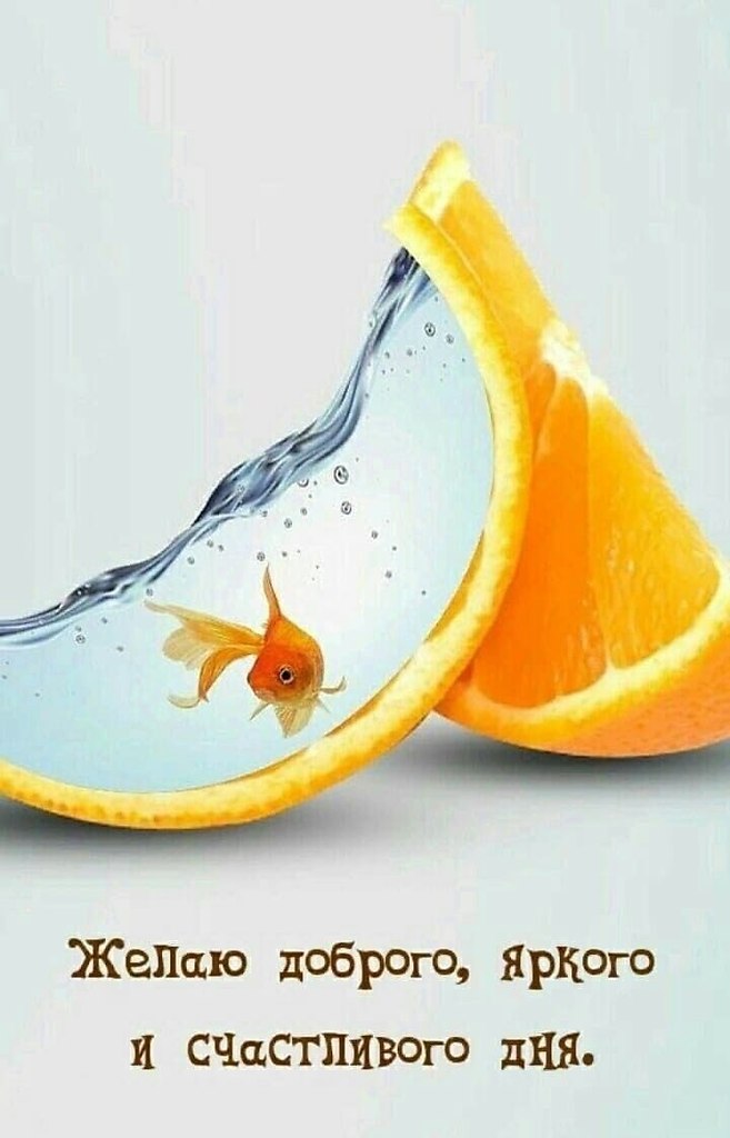   - 1  2023  00:49