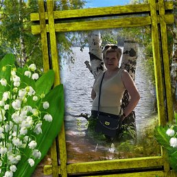 ���� �����, ����, 50 ��� - ��������� 27 ����� 2023