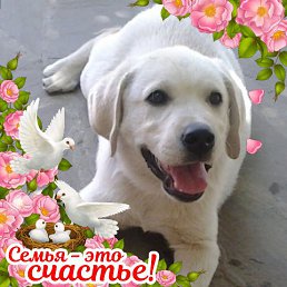 ���� Maksimus, ������-��-����, 54 ���� - ��������� 26 ���� 2023